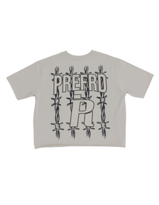 Gray Wash Trademark Cropped Tee