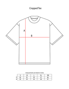 Gray Wash Trademark Cropped Tee